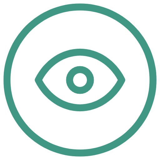 Our Vision
